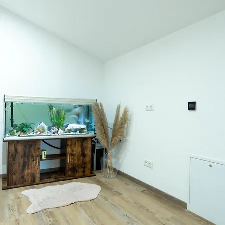 Apartment Black Forest *