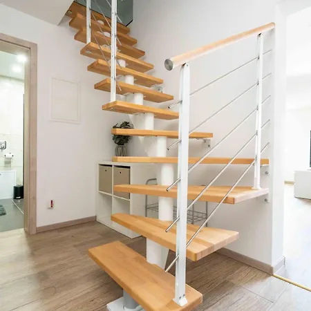 Black Forest Friesenheim (Baden-Wurttemberg)